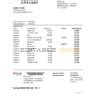 Philippines Bank of Communications bank statement easy to fill template in .xls and .pdf file format
