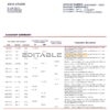 Poland Bank Pekao S.A bank statement template in .doc and .pdf format, fully editable