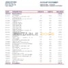 Portugal Banco Popular bank statement in Word and PDF format