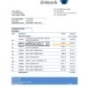 Qatar Ahlibank statement easy to fill template in Excel and PDF format