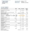 Romania Alpha Bank statement template in Word and PDF format