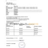 Russia Home Credit bank statement easy to fill template in .xls and .pdf file format