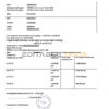 Russia Home Credit bank statement template in Word and PDF format, good for address prove