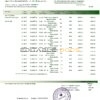 Russia Sberbank bank statement template in Word and PDF format