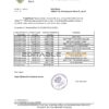 Russia Tinkoff bank proof of address statement template in Excel and PDF format (.xls and .pdf)