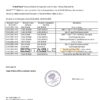 Russia Tinkoff bank proof of address statement template in Word and PDF format (.doc and .pdf)