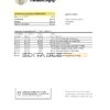 Russia Tinkoff bank statement easy to fill template in Excel and PDF format