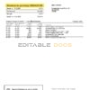 Russia Tinkoff bank statement easy to fill template in Word and PDF format (in Russian)