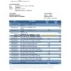 San Marino Banca di San Marino bank statement easy to fill template in Excel and PDF format