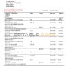 Saudi Arabia Alawwal Bank statement template in Word and PDF format, good for address prove