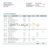 Saudi Arabia Banque Saudi Fransi bank statement template in Word and PDF format, good for address prove