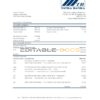 Slovakia Tatra Bank statement easy to fill template in .xls and .pdf file format