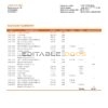 Slovenia Intesa Sanpaolo Bank, Poslovalnica Koper bank statement template in Word and PDF format
