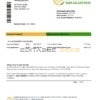 Somalia Dara Salaam Bank statement template in Word and PDF format, good for address prove