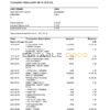 South Africa ABSA bank statement easy to fill template in Word and PDF format (9 pages)