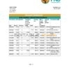 South Africa FNB bank statement easy to fill template in Excel and PDF format