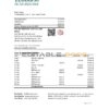 South Sudan Ecobank bank statement easy to fill template in Excel and PDF format