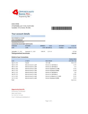 South Sudan Opportunity Bank statement easy to fill template in .xls and .pdf file format