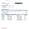 South Sudan Opportunity Bank statement template in Word and PDF format