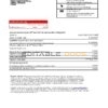 Spain Santander credit card proof of address bank statement in Excel and PDF format