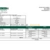 Sri Lanka Amana Bank statement easy to fill template in Excel and PDF format