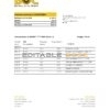 Sri Lanka Bank of Ceylon bank statement easy to fill template in .xls and .pdf file format