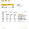 Sri Lanka Bank of Ceylon bank statement template in Word and PDF format, good for address prove