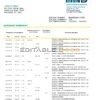 Sri Lanka Hatton National Bank bank statement template in Excel an PDF format
