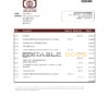 Sudan National Bank of Sudan bank statement easy to fill template in Excel and PDF format
