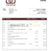 Sudan National Bank of Sudan bank statement template in Word and PDF format