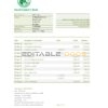 Sudan Saudi Sudanese Bank statement easy to fill template in .xls and .pdf file format