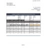 Sweden Citibank bank statement easy to fill template in Excel and PDF format