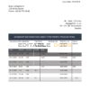 Sweden Citibank statement easy to fill template in .doc and .pdf format, fully editable