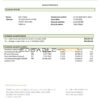 Tajikistan Alif Bank statement template, Word and PDF format (.doc and .pdf)