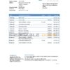 Tajikistan The First MicroFinance (FMFB) Bank statement template in .xls and .pdf file format