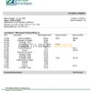 Cameroon Atlantic bank statement template in Word and PDF format