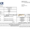 Costa Rica The Bank of Costa Rica bank statement easy to fill template in Excel and PDF format