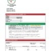 Burundi Bank of the Republic of Burundi bank statement template in Excel and PDF format