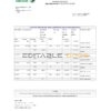 Tunisia Amen Bank statement easy to fill template in .xls and .pdf file format