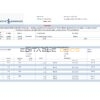Turkey Bankasi Bank statement easy to fill template in .xls and .pdf format
