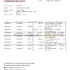 Turkmenistan Turkmenbashi Bank statement template, Word and PDF format (.doc and .pdf)