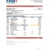 UAE First Abu Dhabi Bank statement easy to fill template in .xls and .pdf file format