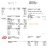 USA ADP business corporate earnings statement template in Word and PDF format