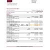USA BB&T Corp. bank statement easy to fill template in .xls and .pdf file format