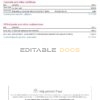 USA Bank of America bank statement template in Excel and PDF format (4 pages), version 3