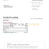 USA Bank of America bank statement template in Word and PDF format, 6 pages, version 2