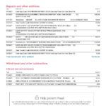 USA Bank of America bank statement template in Word and PDF format, 6 pages, version 2