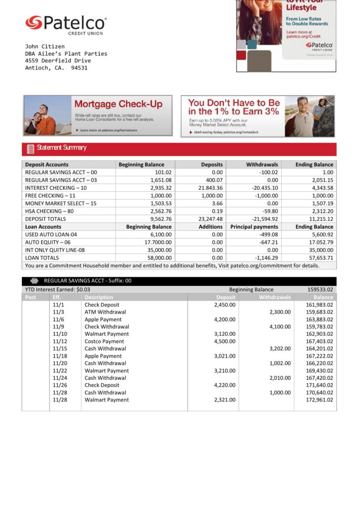 USA California Patelco Credit Union bank statement template in Word and PDF format