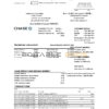 USA Chase bank Mastercard card statement easy to fill template in Excel and PDF file format
