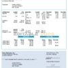 USA Cisco Systems, Inc. hardware company pay stub Word and PDF template
